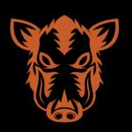 Wild Boars