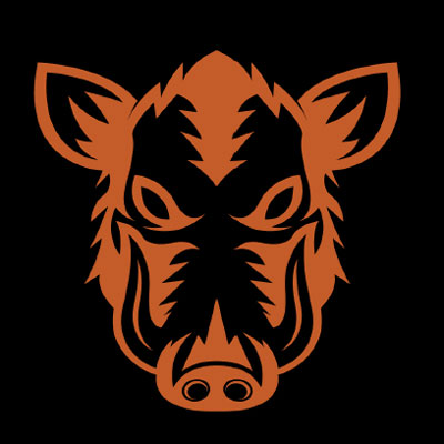 Wild Boars